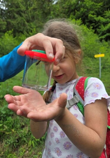 Der Natur auf der Spur