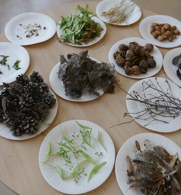 Angebot Samen mit Nina Bonardi