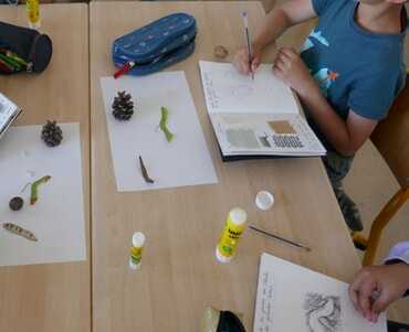 Angebot Samen mit Nina Bonardi