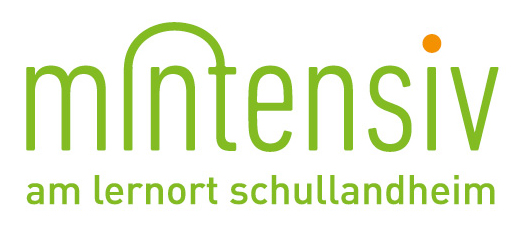 Logo MINTensiv